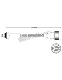 1 Kit Sonde Lambda 250-24801