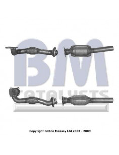 Catalyseur CORDOBA IBIZA TOLEDO GOLF PASSAT POLO VENTO 1.9TD 1Z