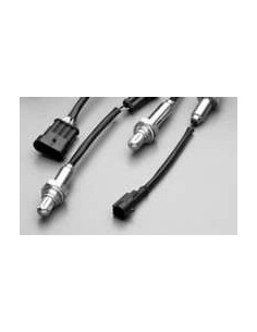 1 Kit Sonde Lambda 0258006170
