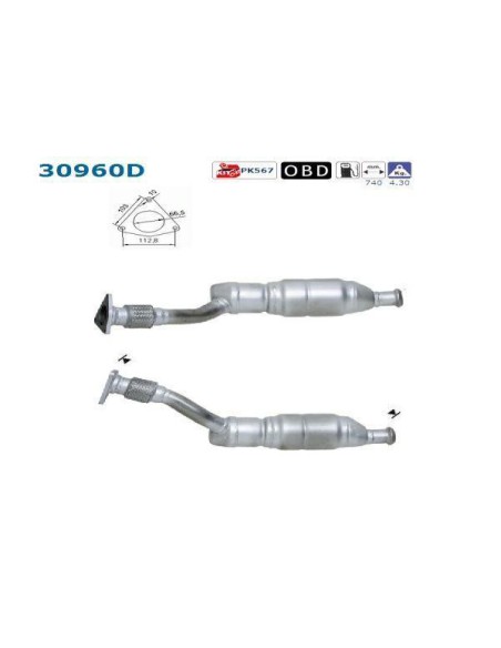 Catalyseur Renault Kangoo 4X4 1.9 Dci (03-)