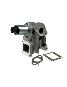 Vanne EGR pour Renault GRAND SCENIC LAGUNA MEGANE SCENIC 1.9 DCi