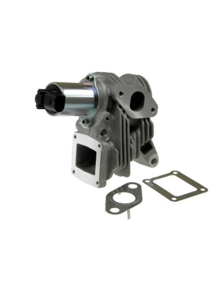 Vanne EGR pour Renault GRAND SCENIC LAGUNA MEGANE SCENIC 1.9 DCi