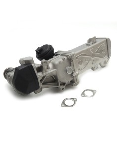 Vanne EGR pour CADDY COCCINELLE EOS GOLF NEW BEETLE PASSAT SCIROCCO SHARAN TIGUAN TOURAN 1.6 TDi 2.0 TDi