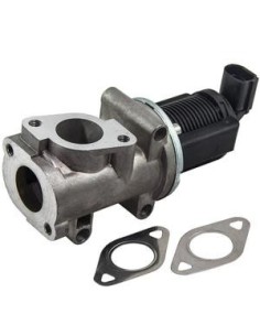 Vanne EGR pour Alfa Romeo 147 156 166 Fiat BRAVA BRAVO DOBLO IDEA MAREA MULTIPLA STILO Lancia LYBRA MUSA THESIS 1.9 JTD 2.4 JTD