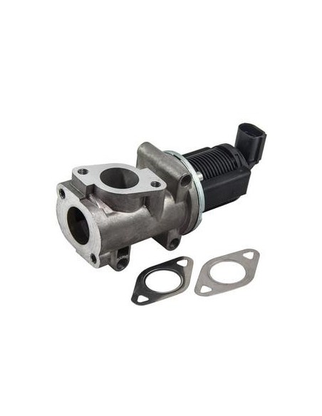 Vanne EGR pour Alfa Romeo 147 156 166 Fiat BRAVA BRAVO DOBLO IDEA MAREA MULTIPLA STILO Lancia LYBRA MUSA THESIS 1.9 JTD 2.4 JTD Vanne EGR pour Alfa Romeo 147 156 166 Fiat BRAVA BRAVO DOBLO IDEA MAREA MULTIPLA STILO Lancia LYBRA MUSA THESIS 1.9 JTD 2.4 JTD