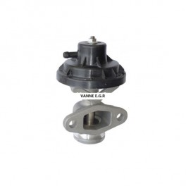 Vanne EGR pour AROSA CORDOBA IBIZA LEON TOLEDO FABIA OCTAVIA BORA CADDY GOLF LUPO POLO 1.4 1.7 1.9 2.0 SDi Vanne EGR pour AROSA CORDOBA IBIZA LEON TOLEDO FABIA OCTAVIA BORA CADDY GOLF LUPO POLO 1.4 1.7 1.9 2.0 SDi