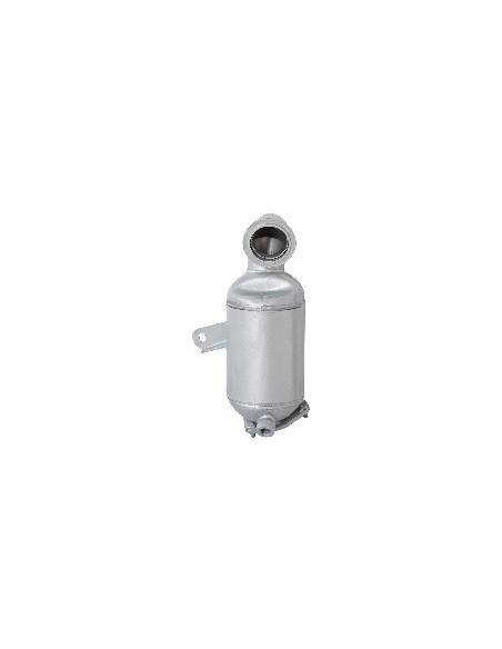 Catalyseur Citroen JUMPER Peugeot BOXER 2.2 HDi FAP (11-)