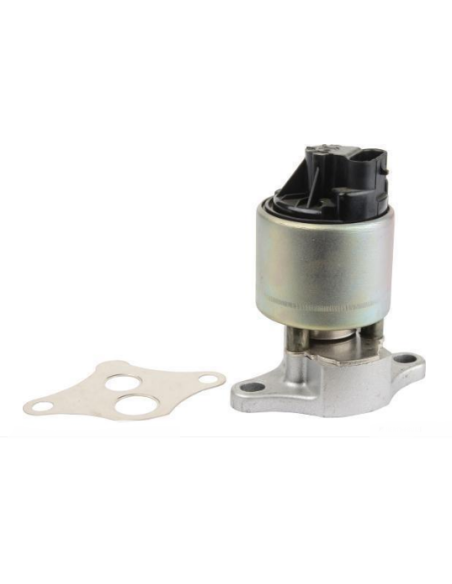 Vanne EGR pour Renault LAGUNA II SCENIC II MEGANE II Suzuki GRAND VITARAA II