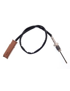 Sonde Température Gaz 1007 206 207 307 3008 308 406 407 5008 807 Expert Partner (02-)