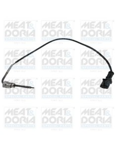 Sonde de Température des gaz FIAT DOBLO II 1.3D Multijet (10-)