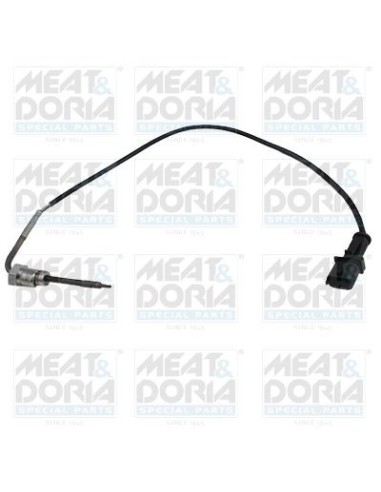 Sonde de Température des gaz FIAT DOBLO II 1.3D Multijet (10-)