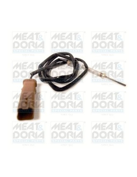 Sonde Température gaz C5 C6 C8 406 307 607 807 2.0 2.2 HDI (00-)