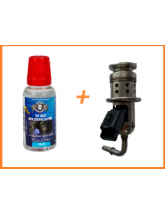 Lot INJECTEUR Urée ADBLUE® + anticristallisant CITROEN BERLINGO C3 C4 DS3 DS4 DS5 SPACETOURER JUMPY 1.6 BLUE Hdi (14-)