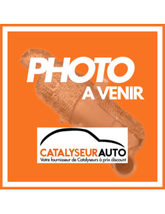 FAP - Catalyseur + Filtre à particules Renault ESPACE MEGANE SCENIC TALISMAN 1.6 Dci (15-) EURO 6