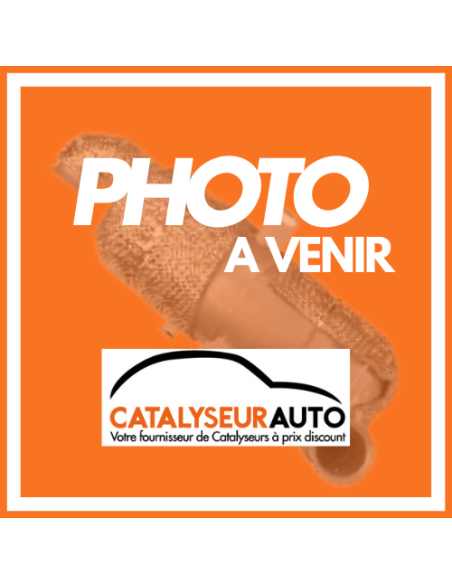 FAP - Catalyseur + Filtre à particules Renault ESPACE MEGANE SCENIC TALISMAN 1.6 Dci (15-) EURO 6