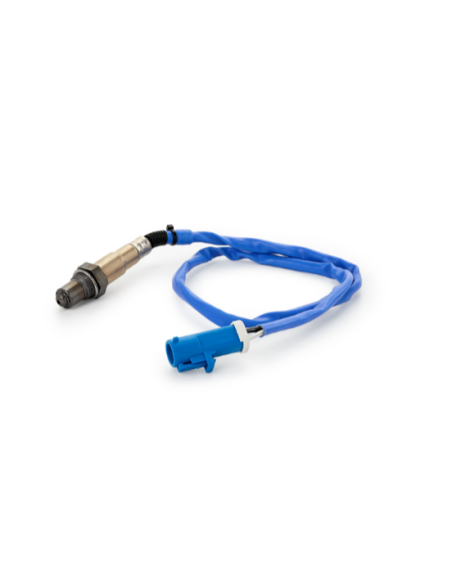 Sonde lambda Ford FIESTA C-MAX FOCUS TRANSIT TOURNEO 1.0 Ecoboost (12-)