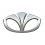 Daewoo